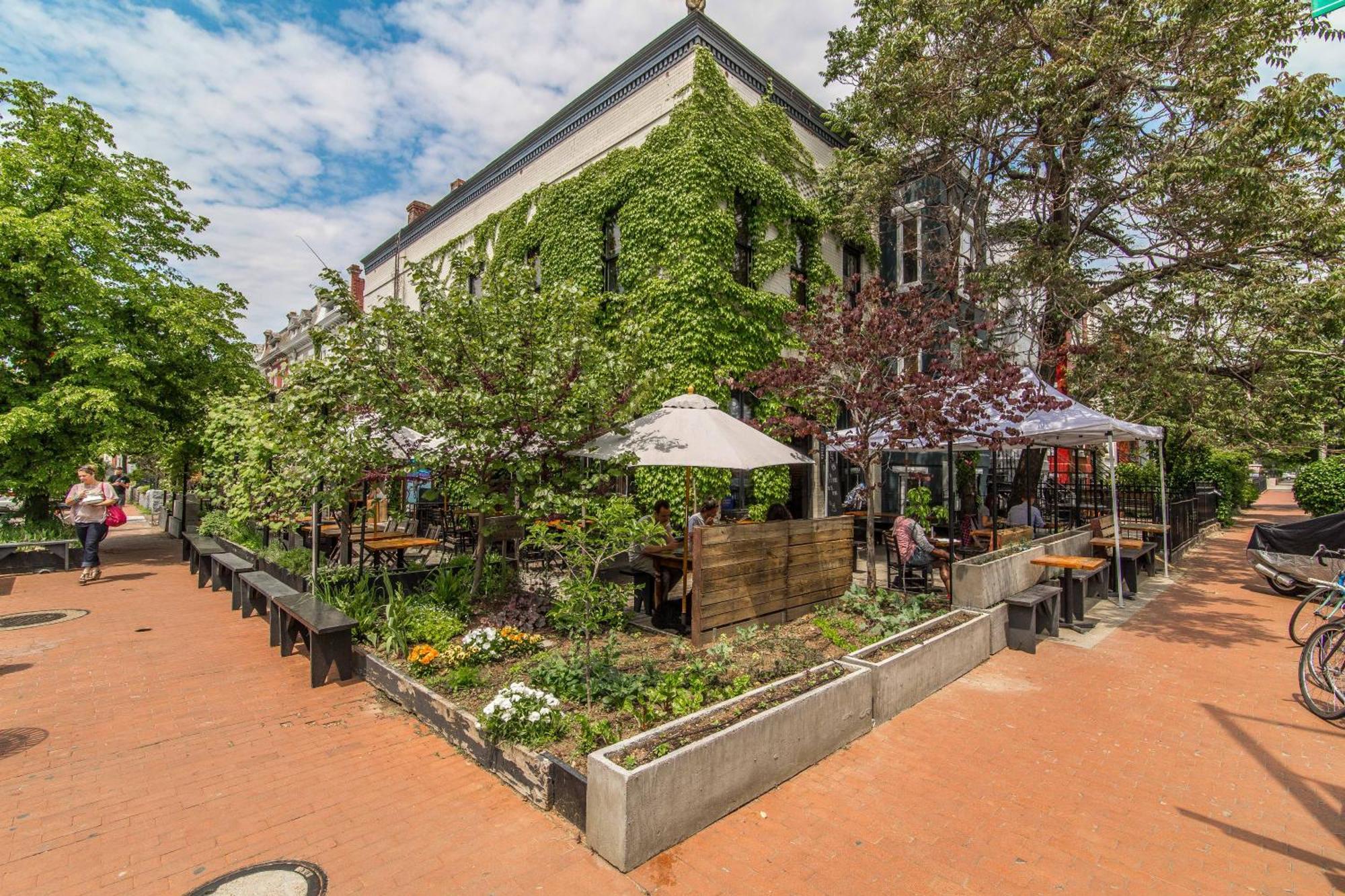 Stylish Renovated Flat, Central, Walk To Dc Sights Washington Kültér fotó